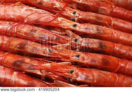 Close Up Fresh Of Raw Red Langoustines , Nephrops Norvegicus, Norway Lobster, Dublin Bay Prawn Or Sc