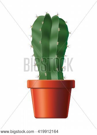 Cactus Astrophytum In A Flower Pot. For Home Cultivation. Isolated Background. Vector Illustration.