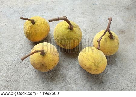 Fresh Ripe Santol Or Sentul Fruit (sandoricum Koetjape) Isolated On On Cement Floor Background.tropi