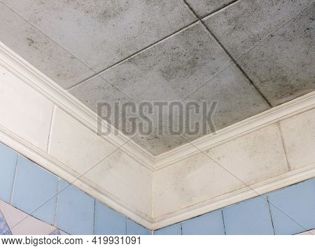 Bathroom Ceiling Covered With Black Mold. House Inspection.