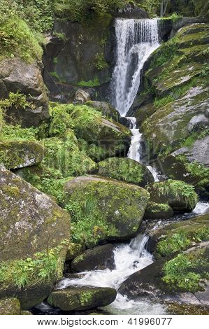Cascadas de Triberg idílico