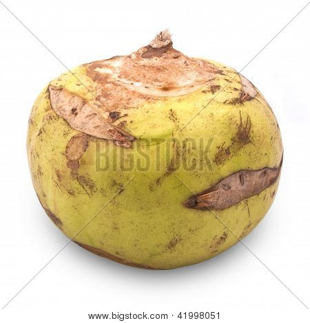 Kohlrabi