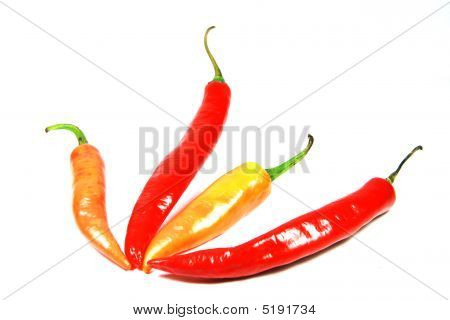 Flocons de piments forts