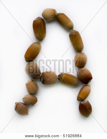 Letter A. Hazelnut.