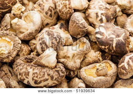 Dried mushrooms