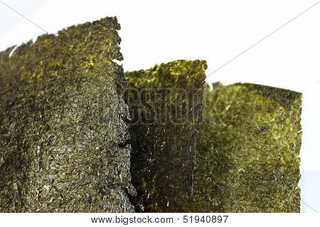 Tree pieces of sea weed