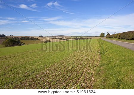 Wolds Chalklands
