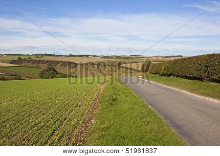 Scenic Country Road