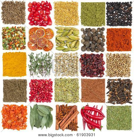 Set Of Spices Isolated On White