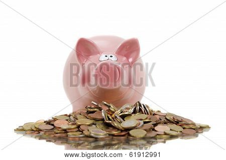 Money Pig