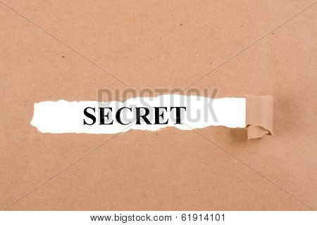 Secret Concept