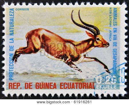 EQUATORIAL GUINEA - CIRCA 1974: Stamp printed in Guinea shows kob lechwy Africa