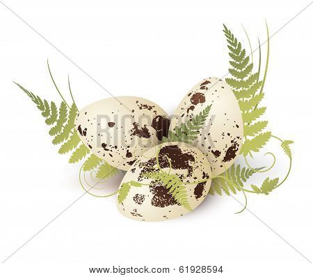 Quail Egg With Fern