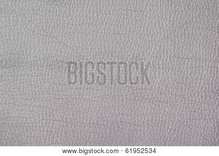 Gray Leather