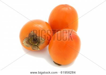 Persimmon