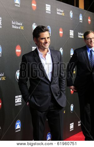 LOS ANGELES - MAR 20:  John Stamos at the 2nd Annual Rebels With A Cause Gala at Paramount Studios on March 20, 2014 in Los Angeles, CA