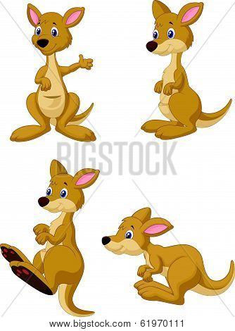 Cute cartoon kangaroo collection set