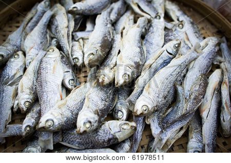 Fish Drying