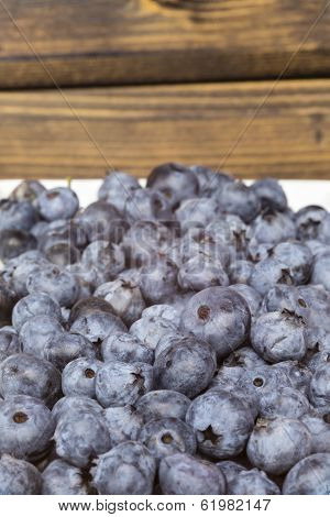 Blueberries