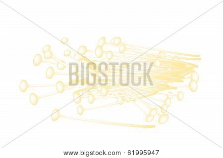 Group Of Enoki Mushrooms On White Background