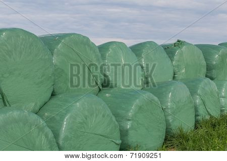 Wrapped Silo Bales