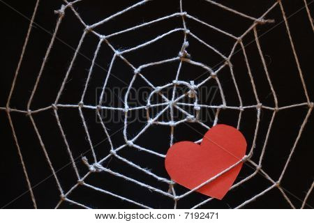 Love Web