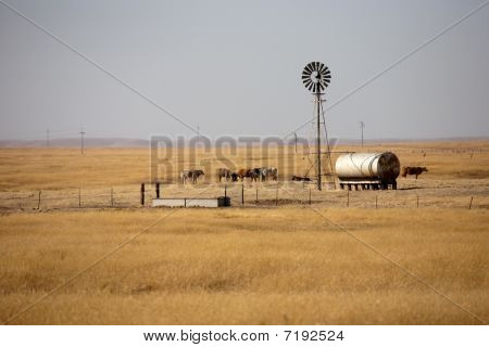 Windmotor na Grasland