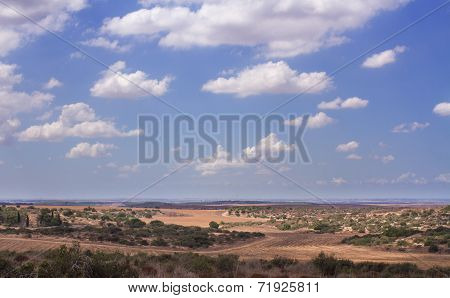 Valley In Israel In The Summer.