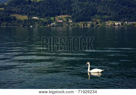 Zeller Lake, Zell am See, Austria, Europe