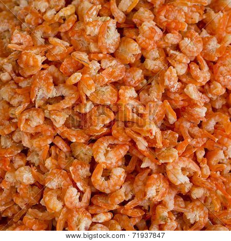 Dried Shrimp Background