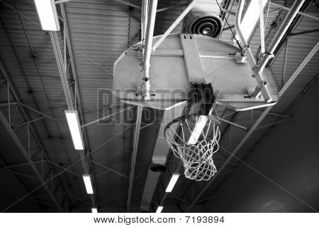 Basketball Net