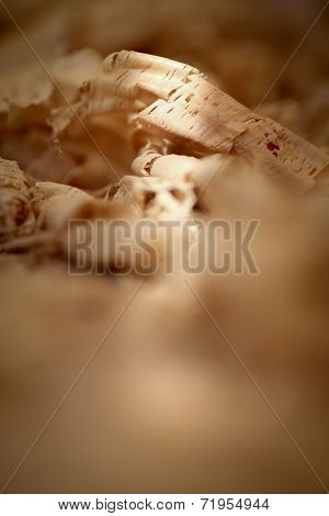 Chip Shavings with Spokeshave of Sapele Hardwood Board