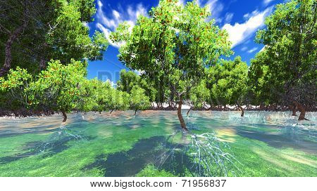 Red mangove shore in tropical paradise