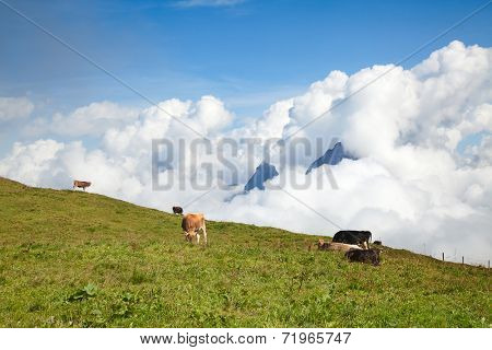 Hiking in the swiss alps nearby Stoos