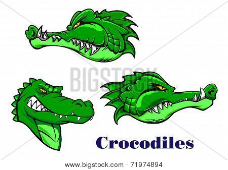 Cartoon crocodile and alligators characters