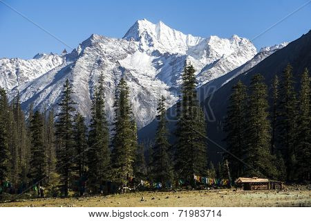 Dorphu Valley, Mountain And Habitat In Kham Tibet