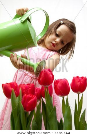 kleine Schönheit