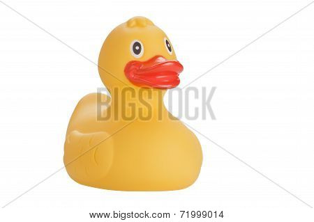 Yellow Duck