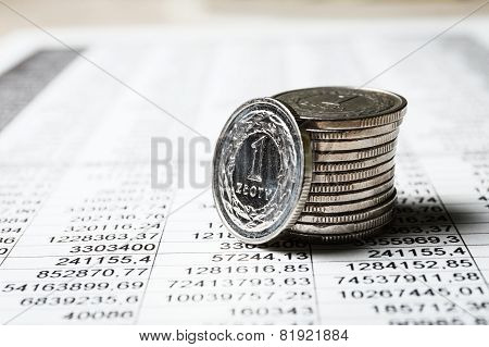 Polish Zloty Coins, Close Up