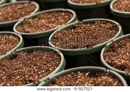 Planting Pots