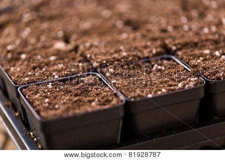 Planting Pots