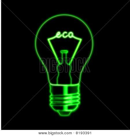 Eco nel bulbo
