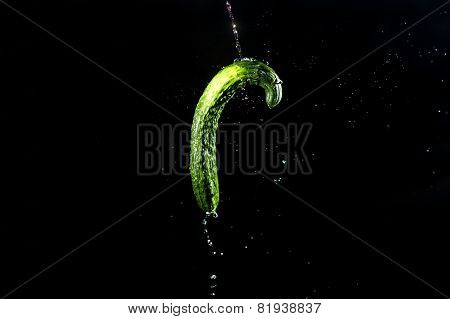 Cucumber