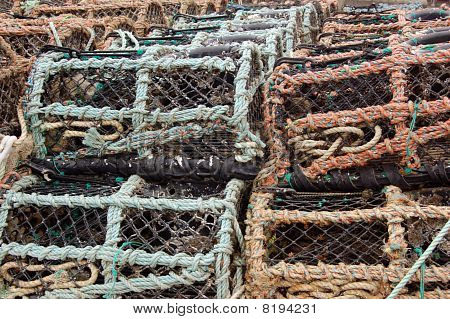 Righe di lobster pot