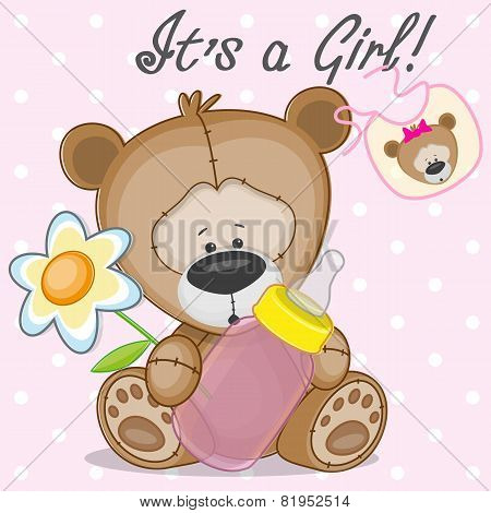 Teddy