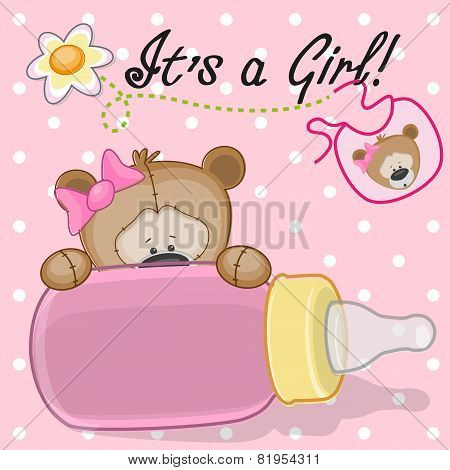 Teddy