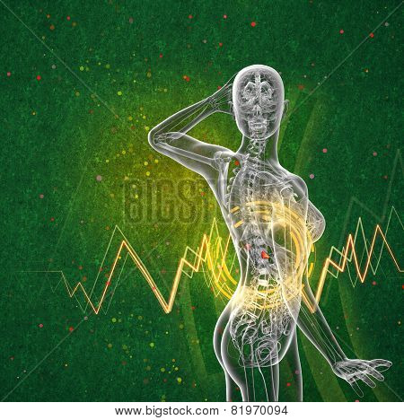 3D Render Medical Illustration Of The Human Adrenal Glands