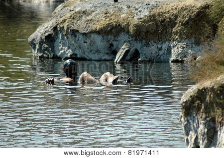 Man Floating On The Salty Water In An Abandoned Salt Mine