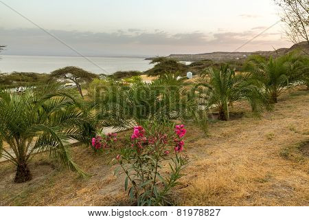 Shores Of Langano Lake