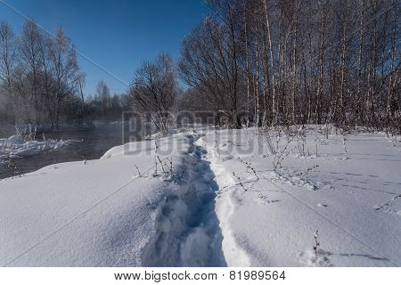Winter Forest River Snow Water